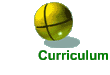 Curriculum Vitae